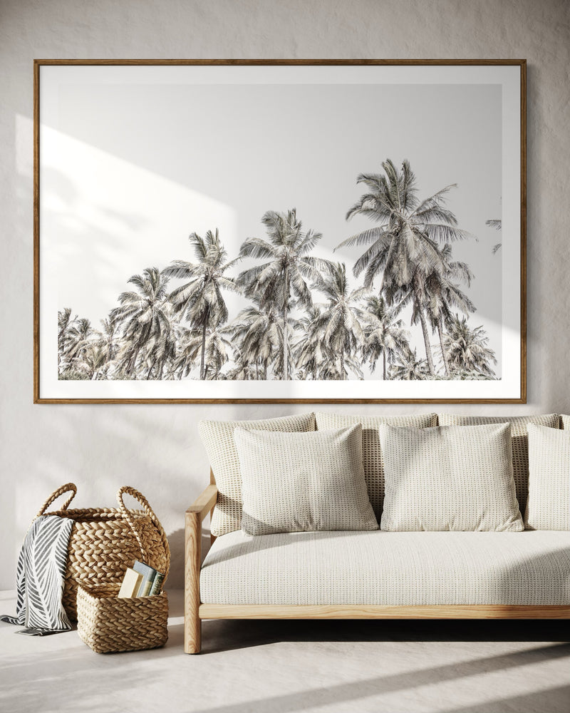 PALMS