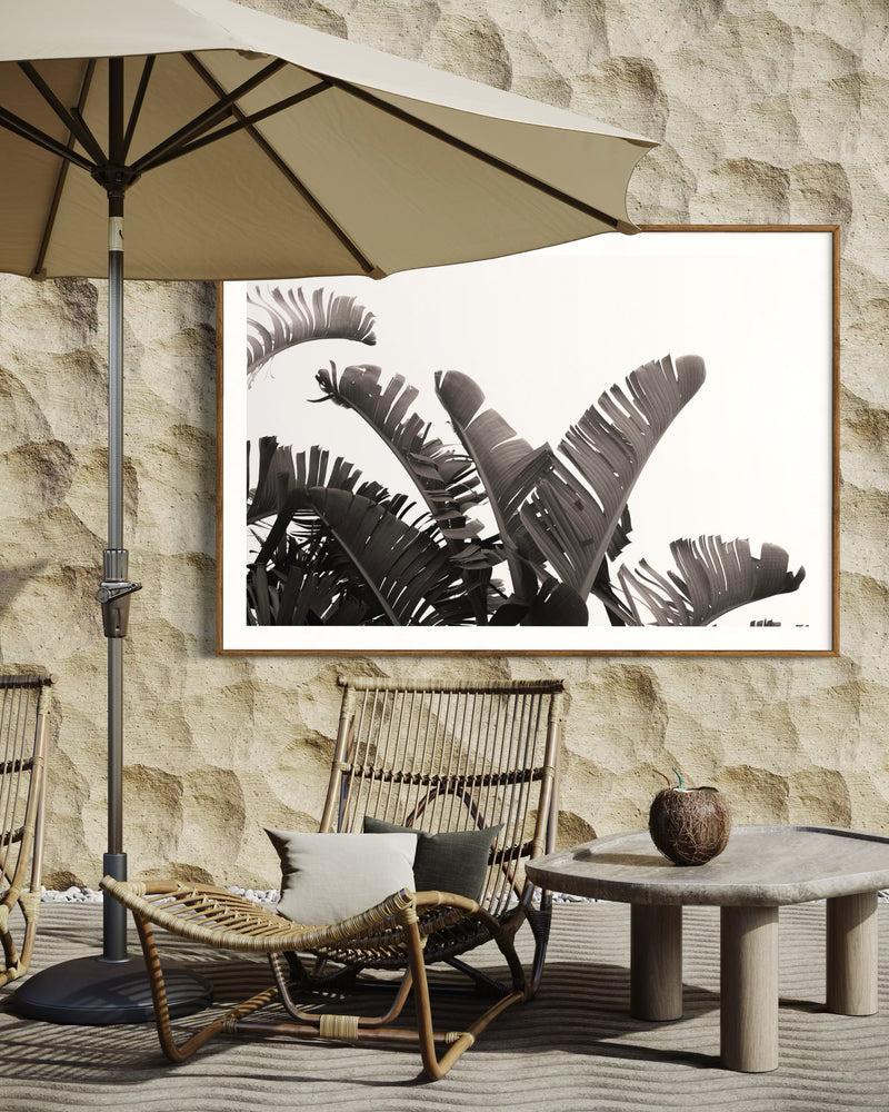BOTANIC NOIR 7
