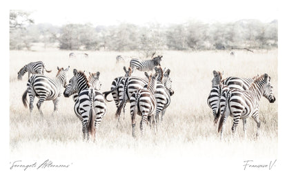 Serengeti Afternoons Postcard