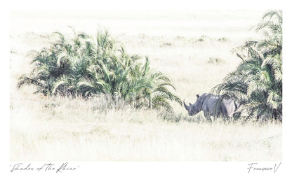 Shadow of the Rhino Postcard