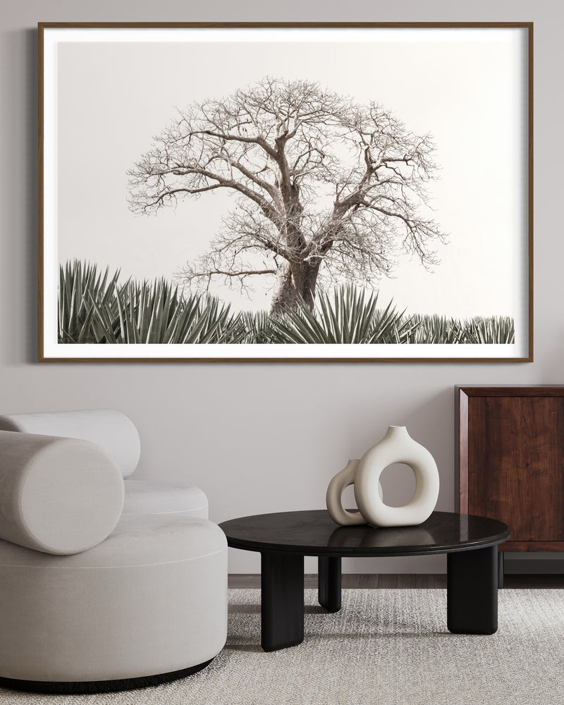 BAOBAB