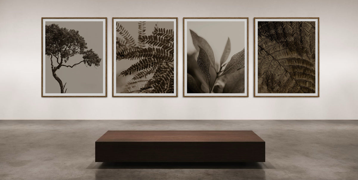 Four framed botanical prints on a wall in a gallery setting.