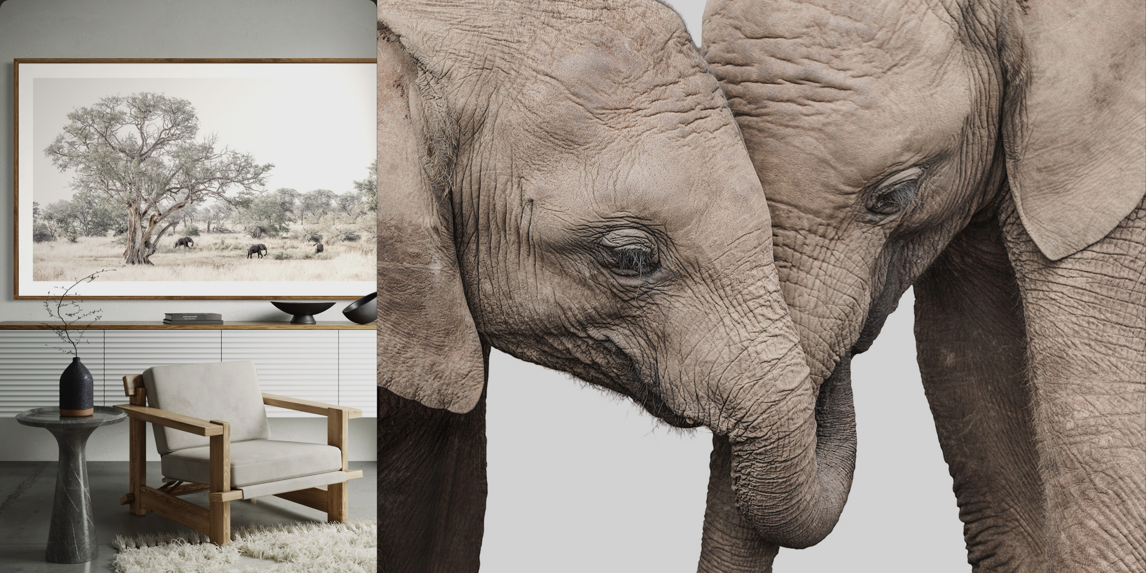 Close-up of an elephant with a framed black and white photo of a savanna in the background.