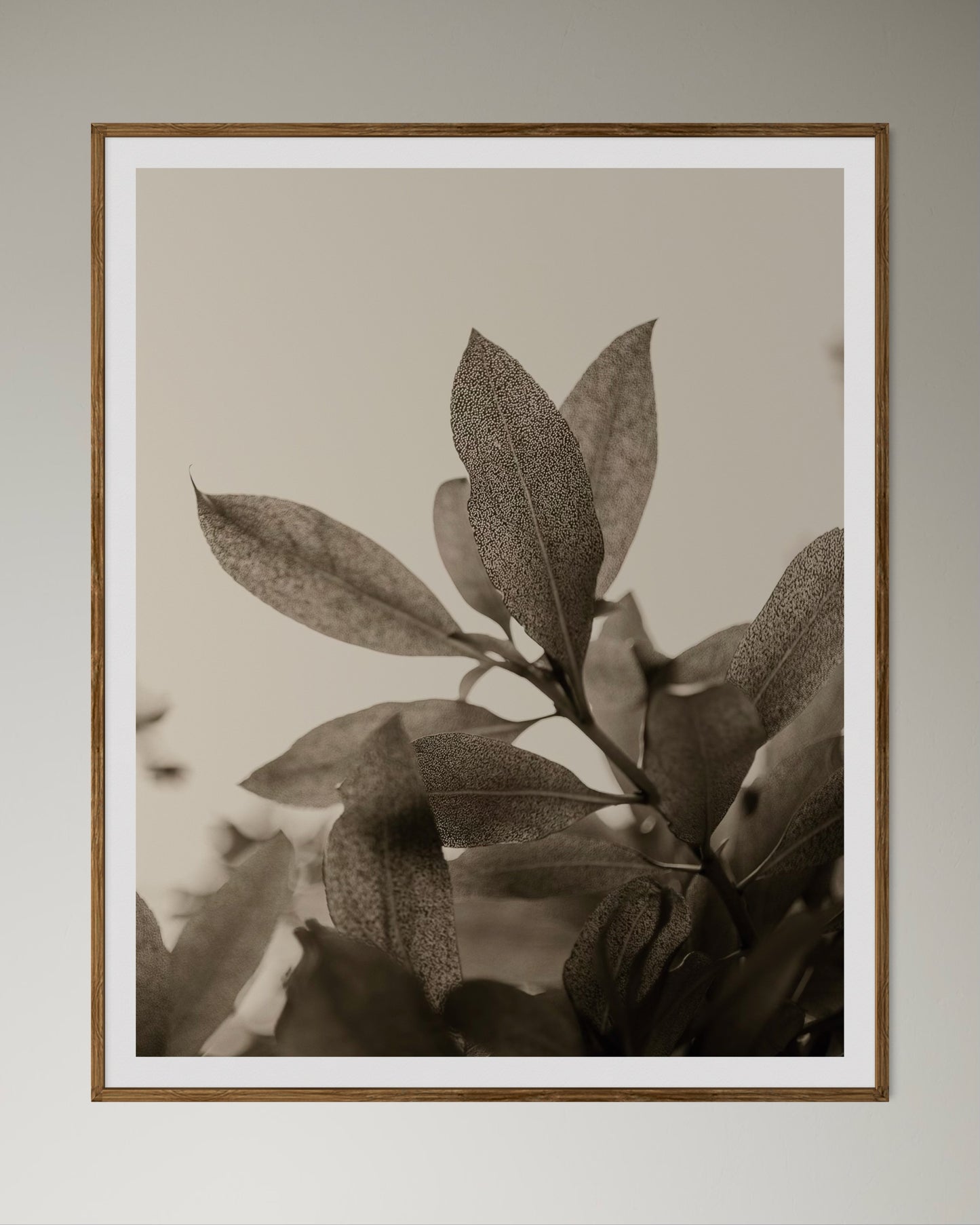 Natural wood kiaat framed artwork print of a close-up of leaves with detailed texture by Francoise V Fine Art Gallery in Cape Town, South Africa.