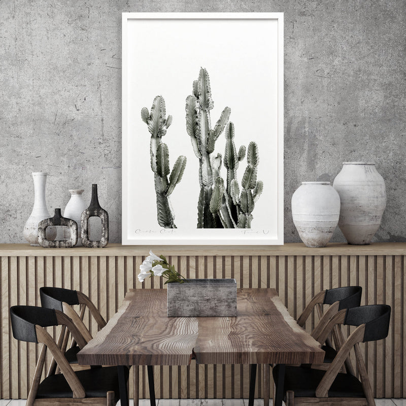 CANDELABRA CACTUS
