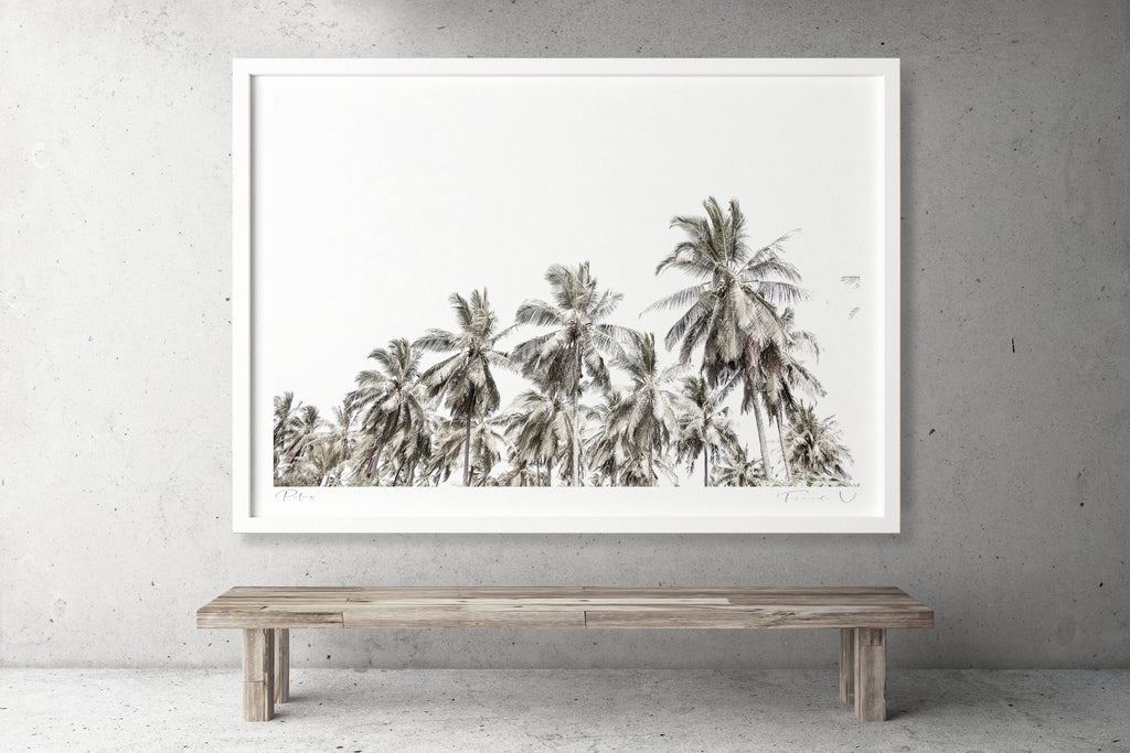 PALMS