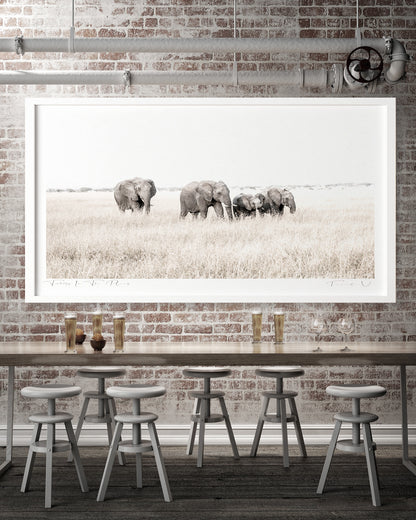 TUSKERS IN THE PLAINS